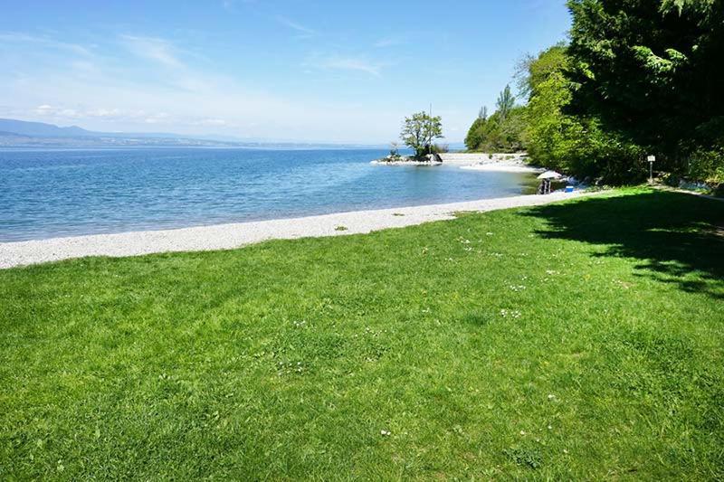 Rez De Jardin / Pieds Des Pistes Lägenhet Bernex Exteriör bild